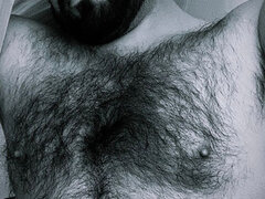 bearwoofhot