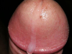 penegordocam